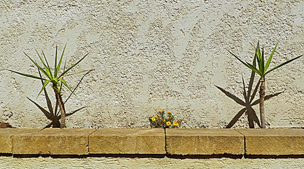 Villa The White Rocks Lido di Noto Exterior foto
